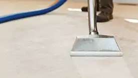 Carpet cleaning wand head gliding over a light carpet during hot-water extraction, Huntsville, AL.